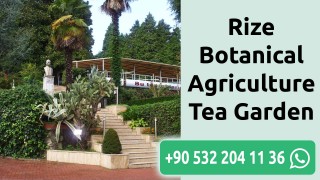 Rize Botanical Agriculture Tea Garden